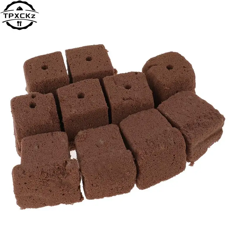 Root Cubes 101: The Ultimate Guide to Growing Healthy Plants with Root Cube Technology