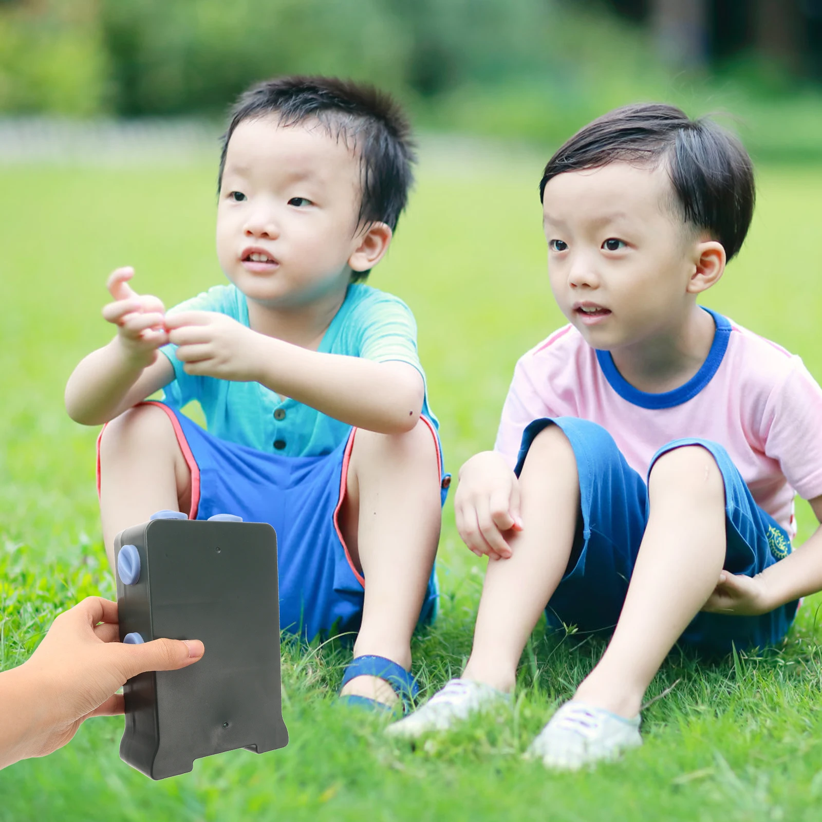 

Plant Light-tap Box Plants Exploration Growth Toys Phototropism Science Observation Case Process Observer The Flowers Child