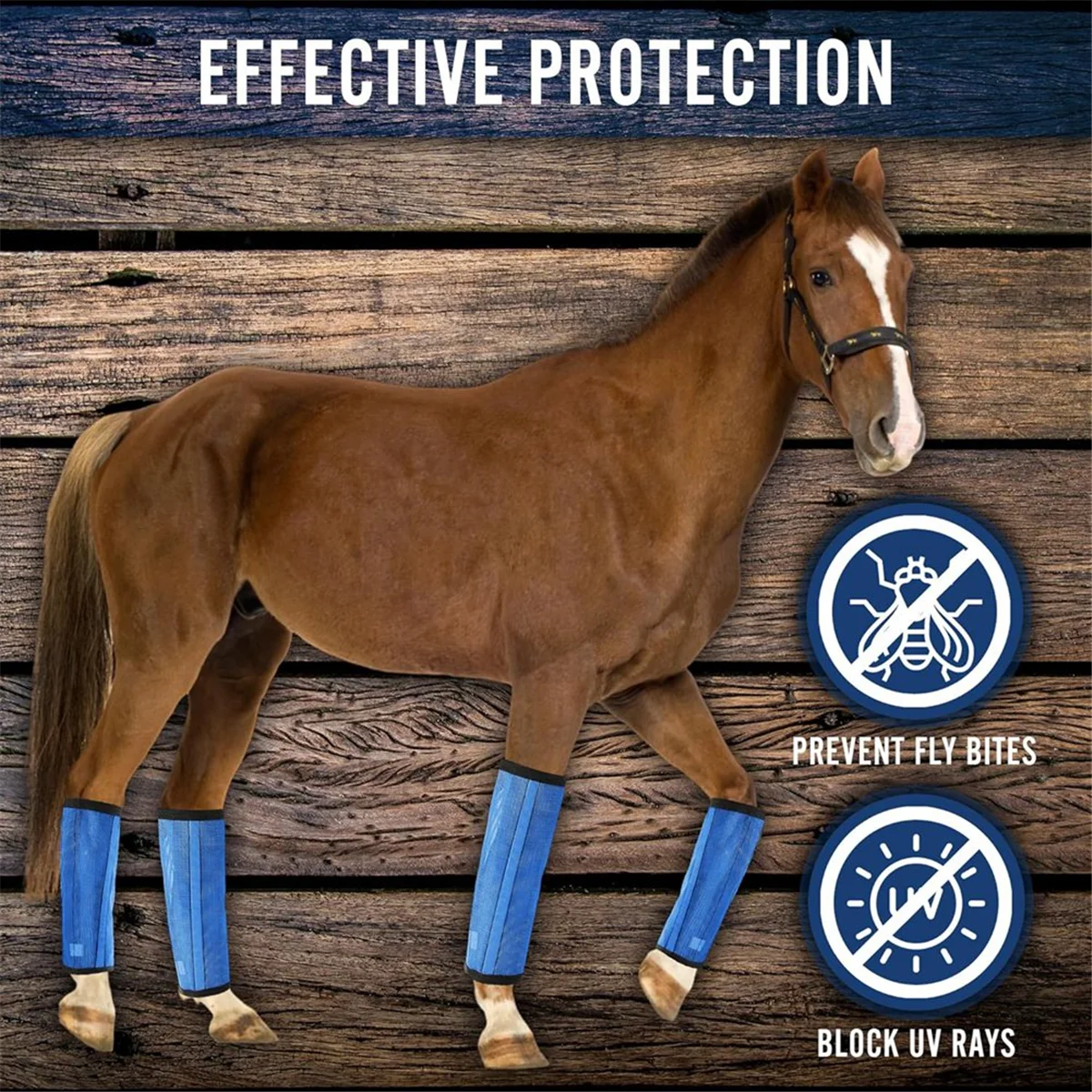 Bottes de cheval en maille respirante, enveloppes de jambe de cheval de protection, legging pour prévenir les mouches, 4 pièces