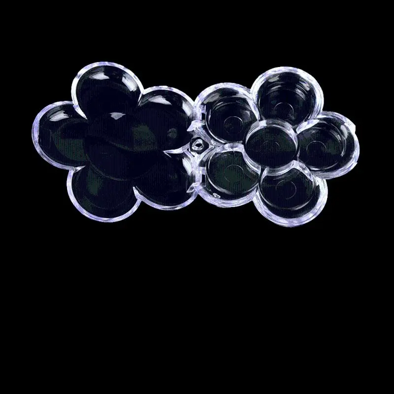 6 сеток в форме цветка сливы, пустые тени для век, прозрачный пластиковый чехол D, дропшиппинг