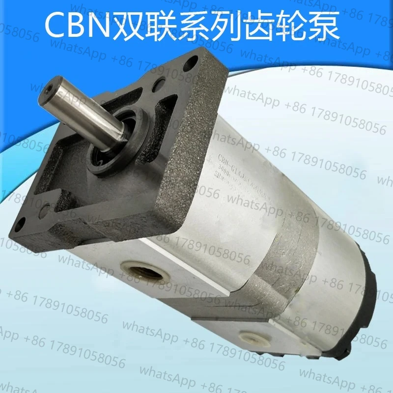 

Hydraulic Gear Oil Pump High Pressure CBN/CBT-G314/304 F310/306 F310/310 Double Gear Pump