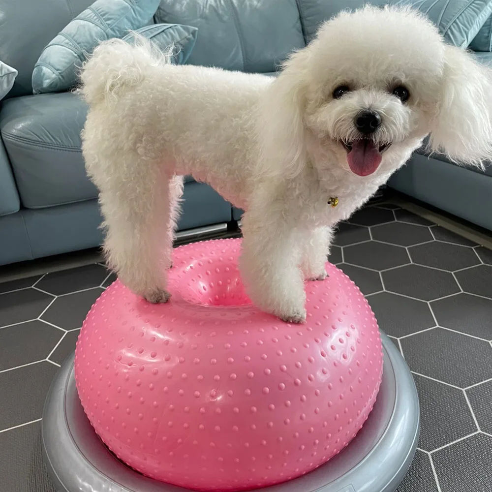 Dog Massage Point Donut Ball Enhance The Strength Of The Hind Limbs Core Muscle Atrophy Dog Rehabilitation Training Tools