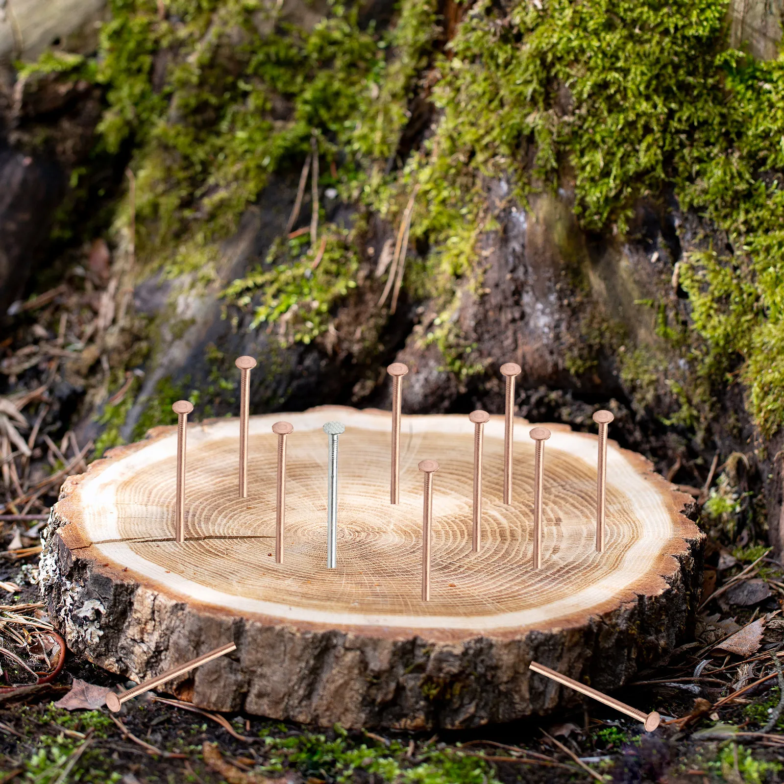 4 Inch Copper Nails for Tree For Killing and Stump Removal 13 Piece Set with Extra Steel Nail for Enhanced Use
