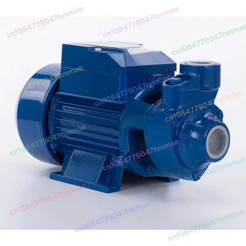 QB60 Household Booster Pump 220V 110V Single Phase 1 Inch Small Water Pump With Copper Motor For Garden Irrigation Home Use