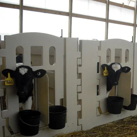 Polyethylene Disease-Prevention Easy-to-Clean Insulated Ventilated Individual Calf Housing