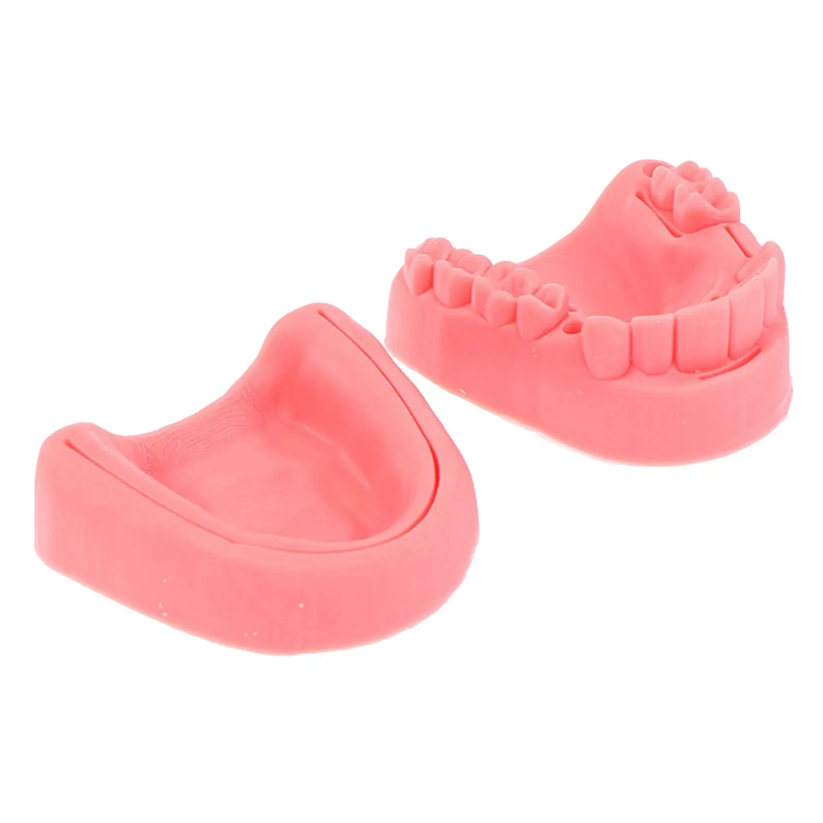 Oral Suturing Training Model Exercise Training Model for Nurses Vets Doctors