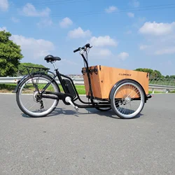 Front Open Door For Take Dog Three Wheel Bicycle Non-electric Cargo Bike 250W Motor Electric Cargo Bicycle Delivery Bike