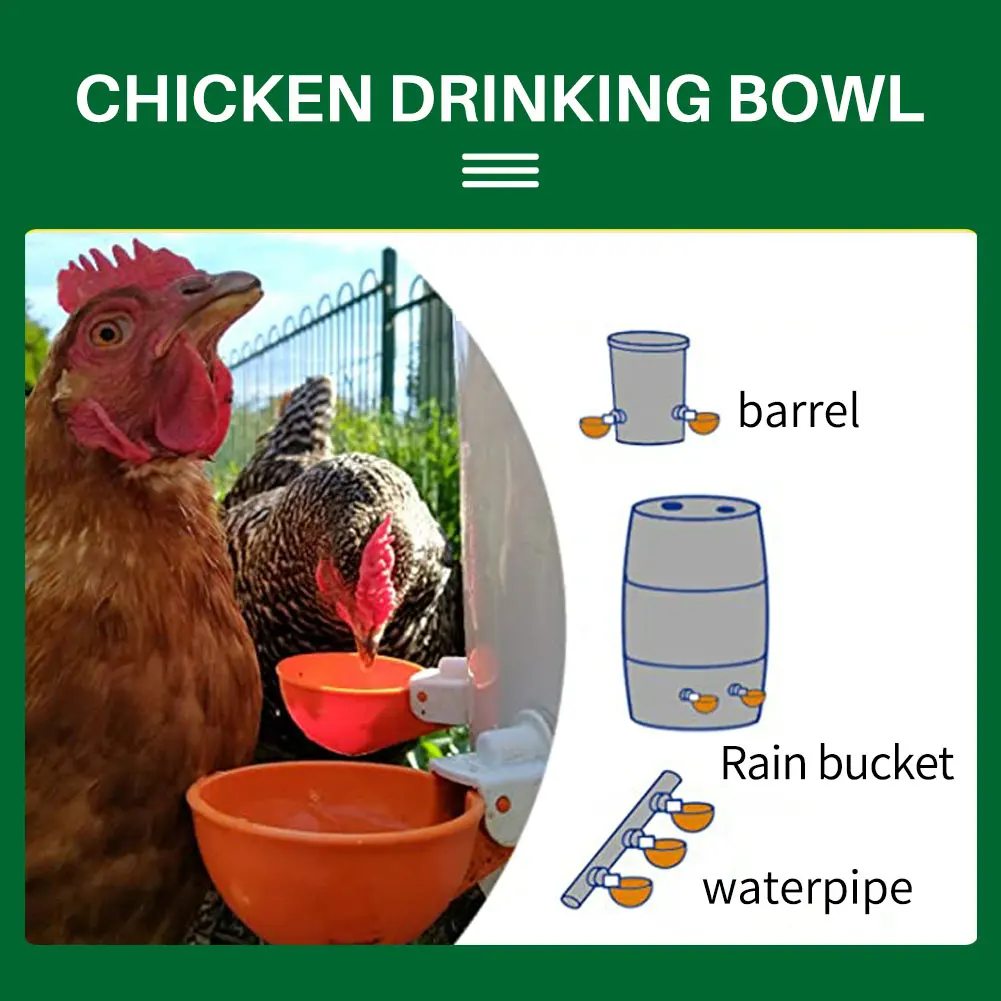 5/10/20 PCS Automatic Chicken Drinking Bowl Drinking Water Quail Poultry Water Dispenser Duck Pigeon Free Range Chicken Larger