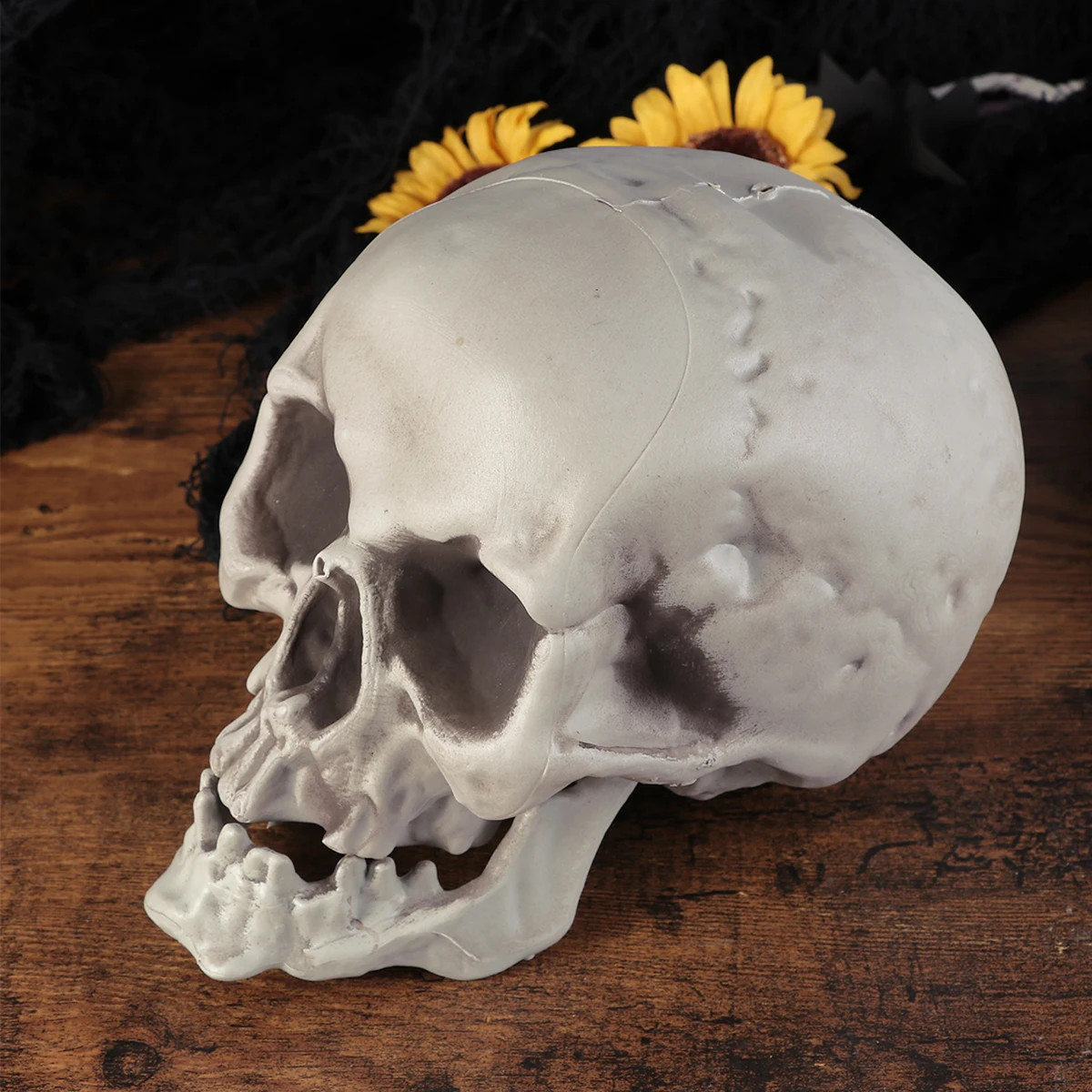 Рисунок 5 - Пластиковый реквизит с черепом в натуральную величину