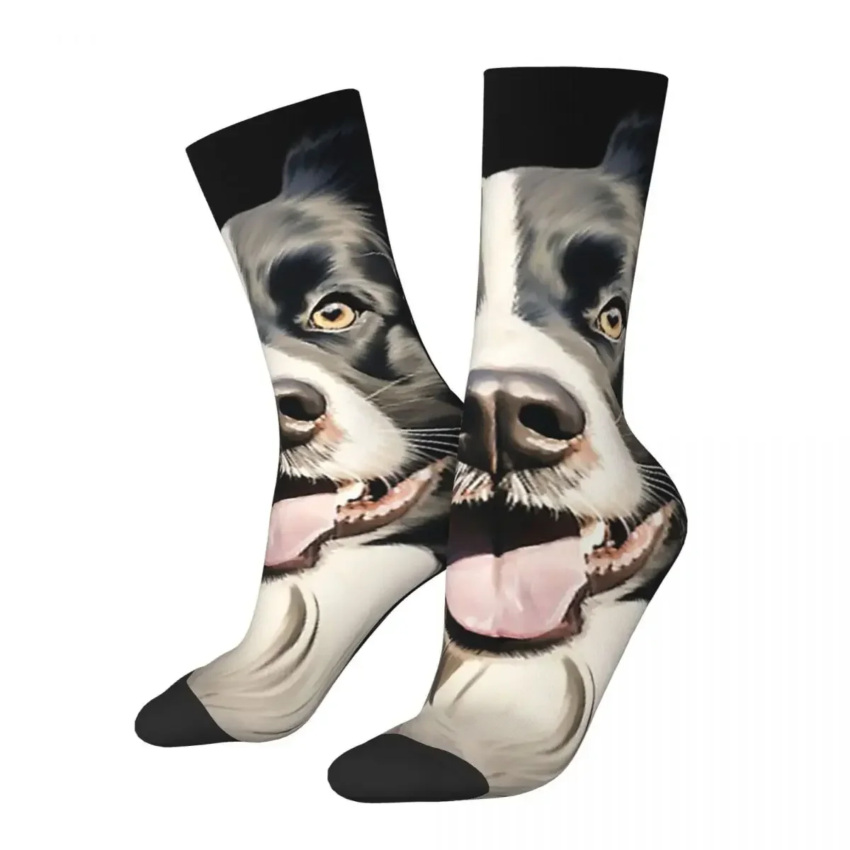 Border Collie Socks Harajuku Super Soft Stockings All Season Long Socks Accessories for Unisex Birthday Present