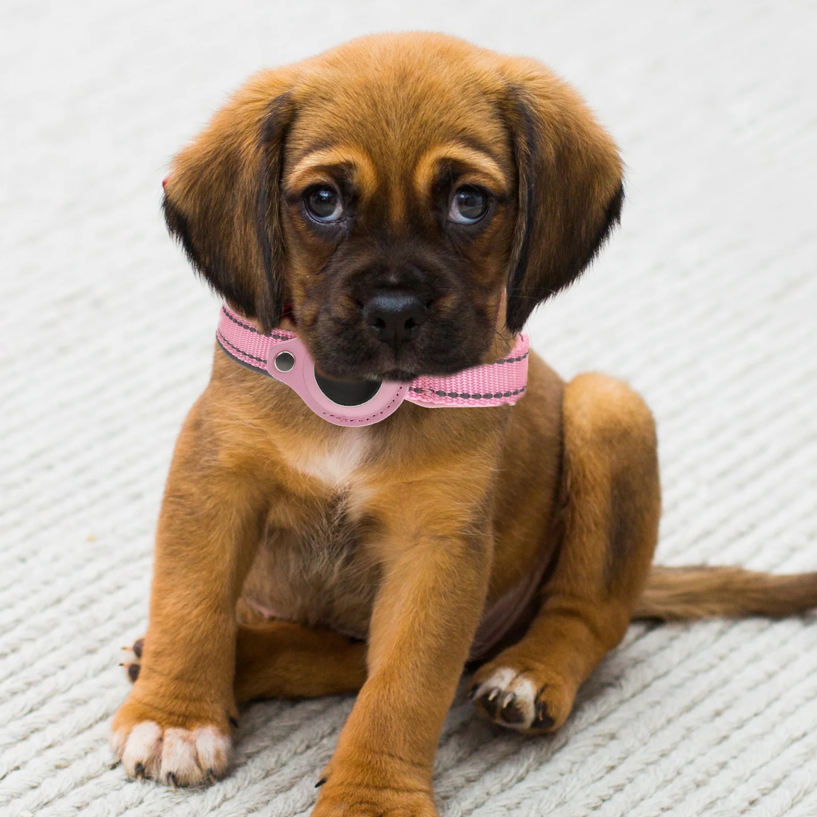 

Positioning Protective Case Pink M Size Anti-lost Collar Strap Neoprene Pet Dog Tracker Reflective Design Durable Long