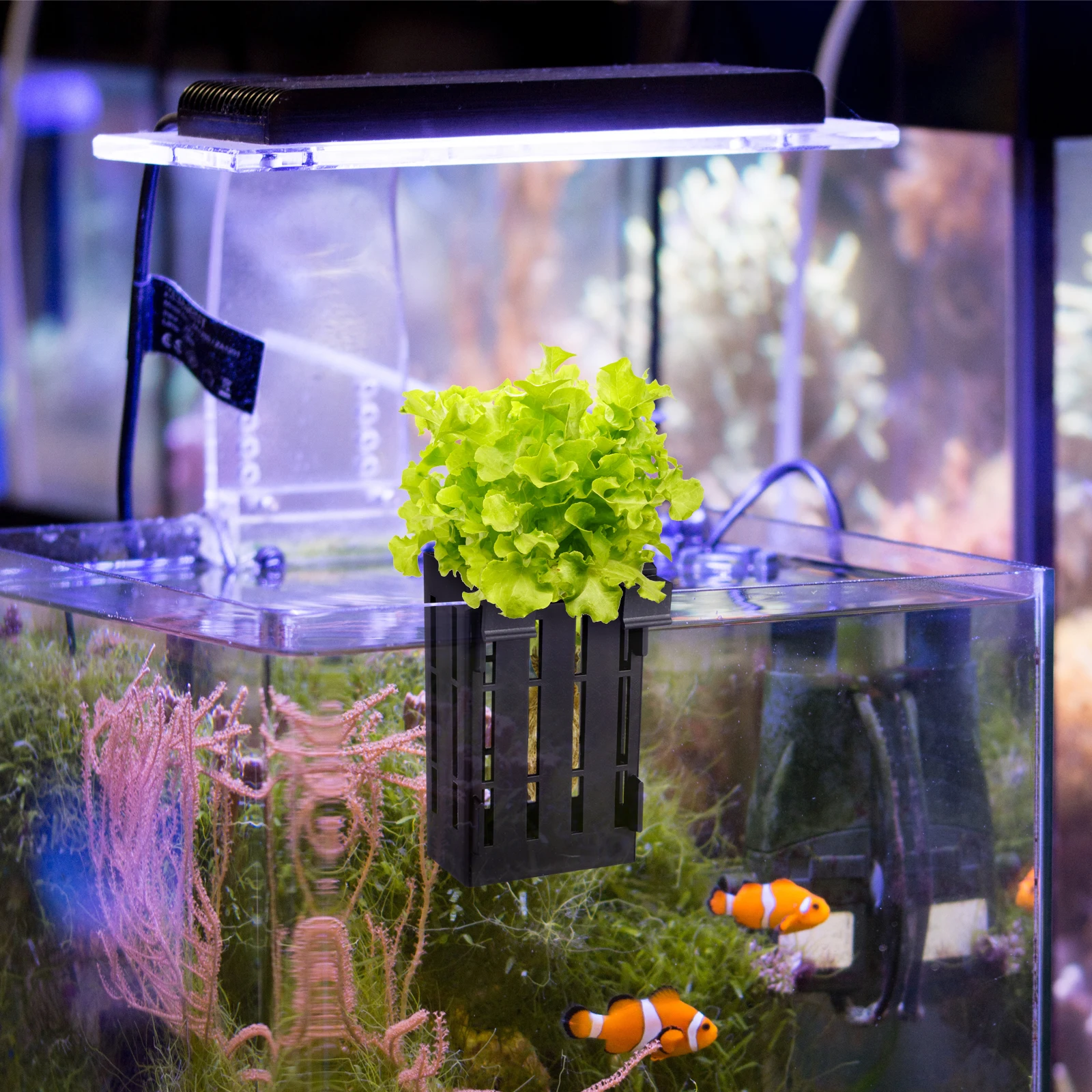 

4pcs Plastic Aquarium Plant Holder Fish Tank Aquatic Hanging Root Growth Water Flow Decorative Fishtank
