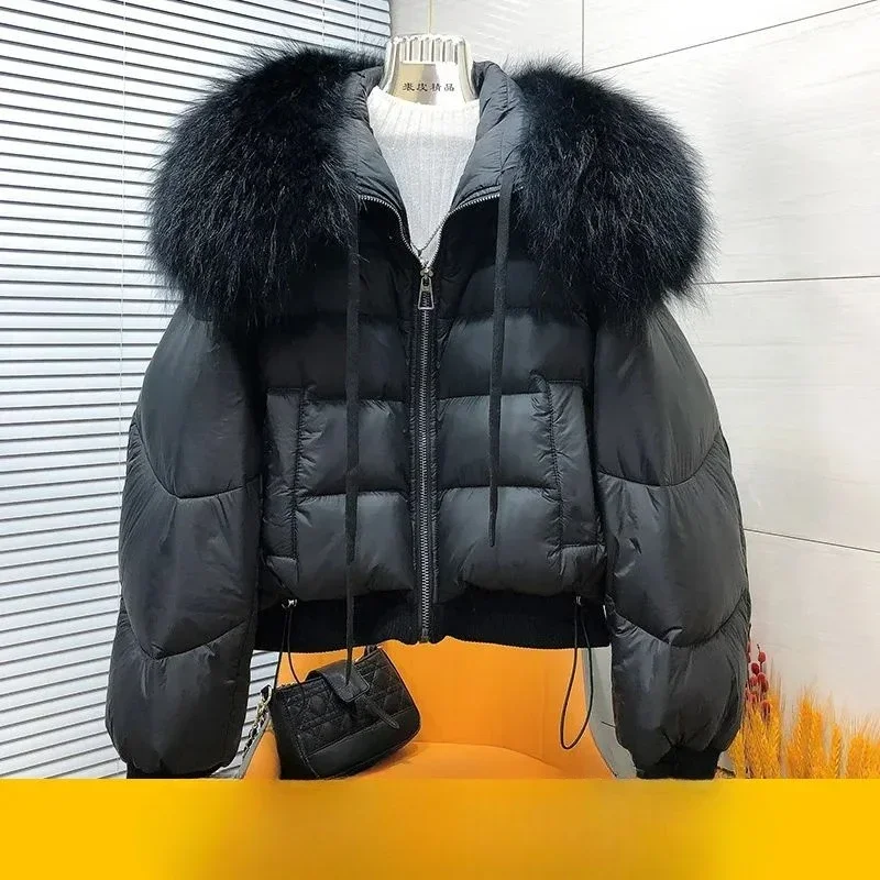 Grande guaxinim gola de pele real para baixo jaqueta feminina curta nova roupas de inverno pequena moda estrangeira pato branco para baixo jaqueta