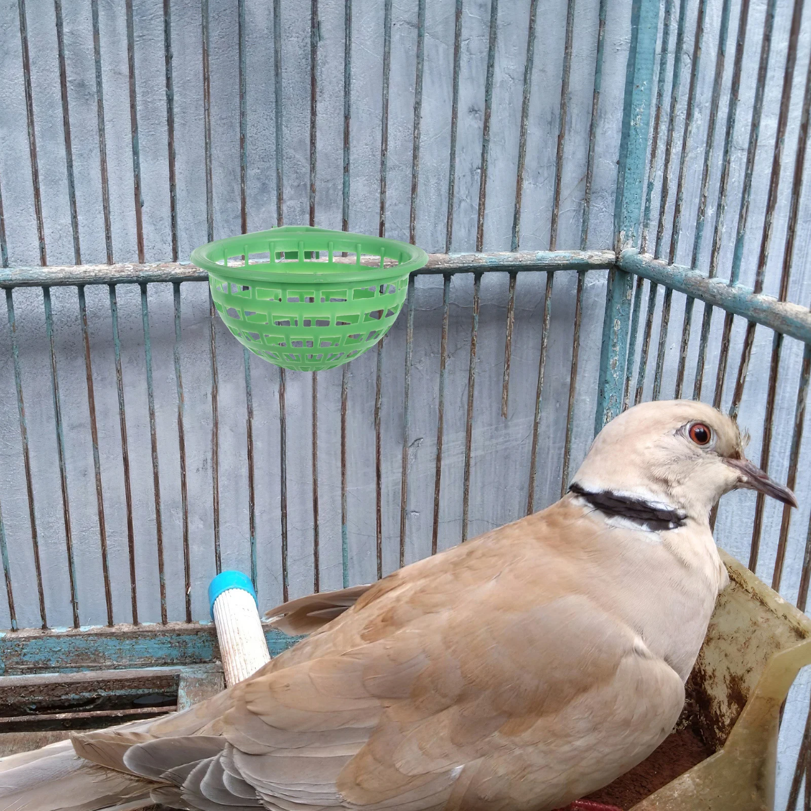 

6Pcs Bird Nest Bowl Pigeon Hatching Plastic Nesting Box Parrots Cockatiels Small Birds Breeding Nests Bird Dishes for Cage