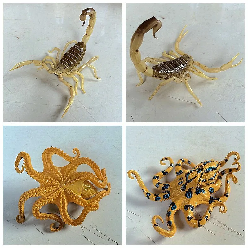 الحيوانات الخطرة Gashapon Centipede العنكبوت محاكاة الإبداع نموذج عمل الشكل