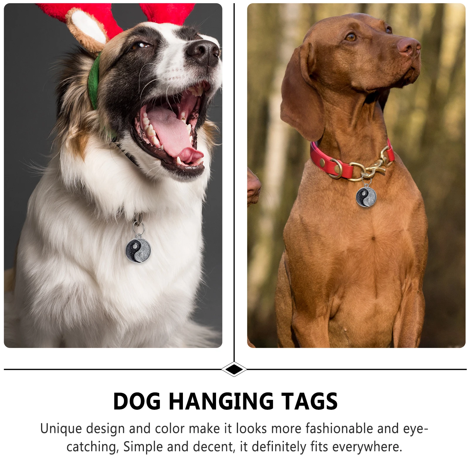 

5pcs Pet ID Tags Zinc Alloy Round Name Pendent for Dog Cat Puppy Identity Charm Hanging Dog Collar Accessories Pet Supplies