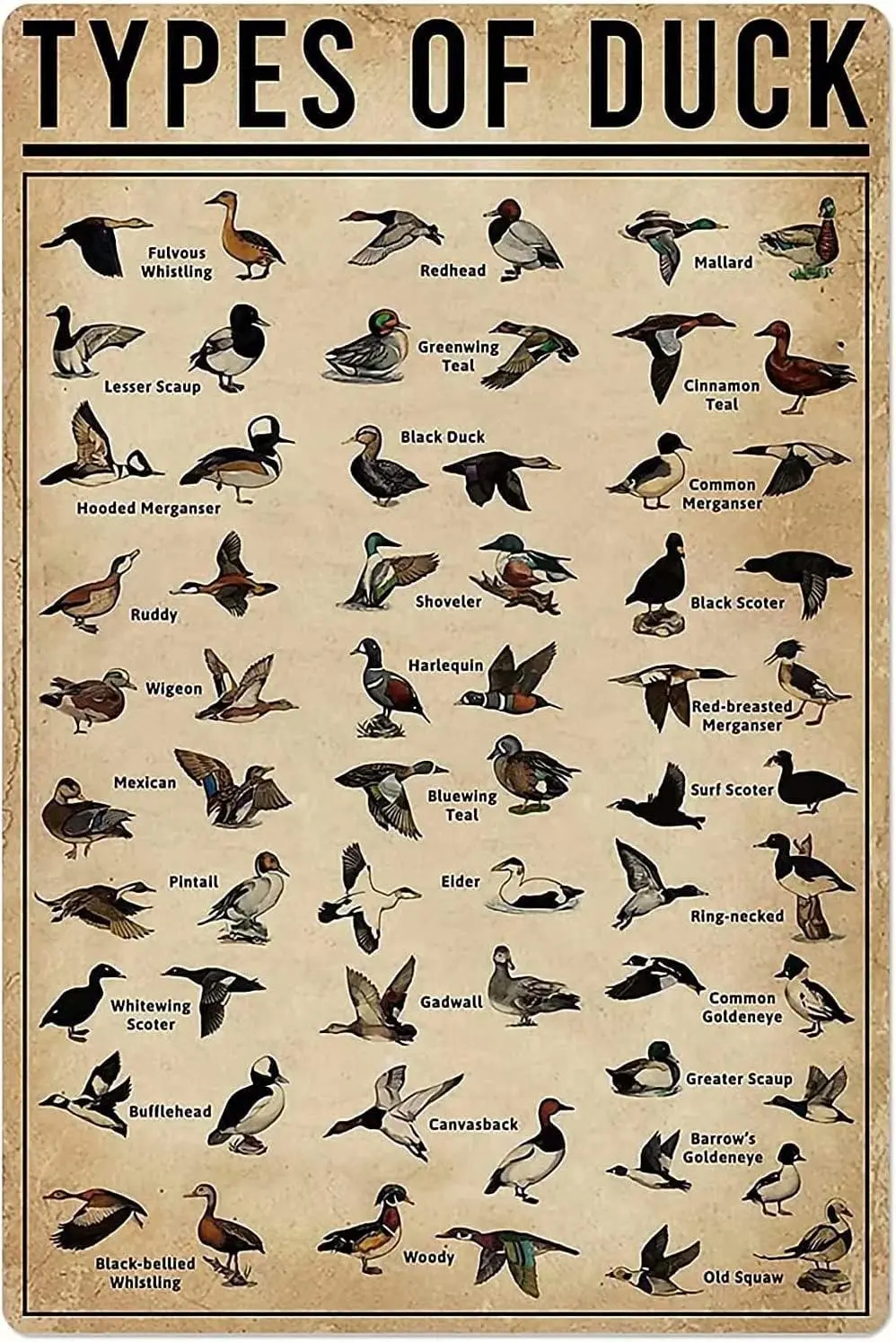 Duck Knowledge Metal Tin Signs Vintage Poster Type Of Art Wall Decoration Plaque School Club Hunting Lodge Cafe Bedroom Bathroom