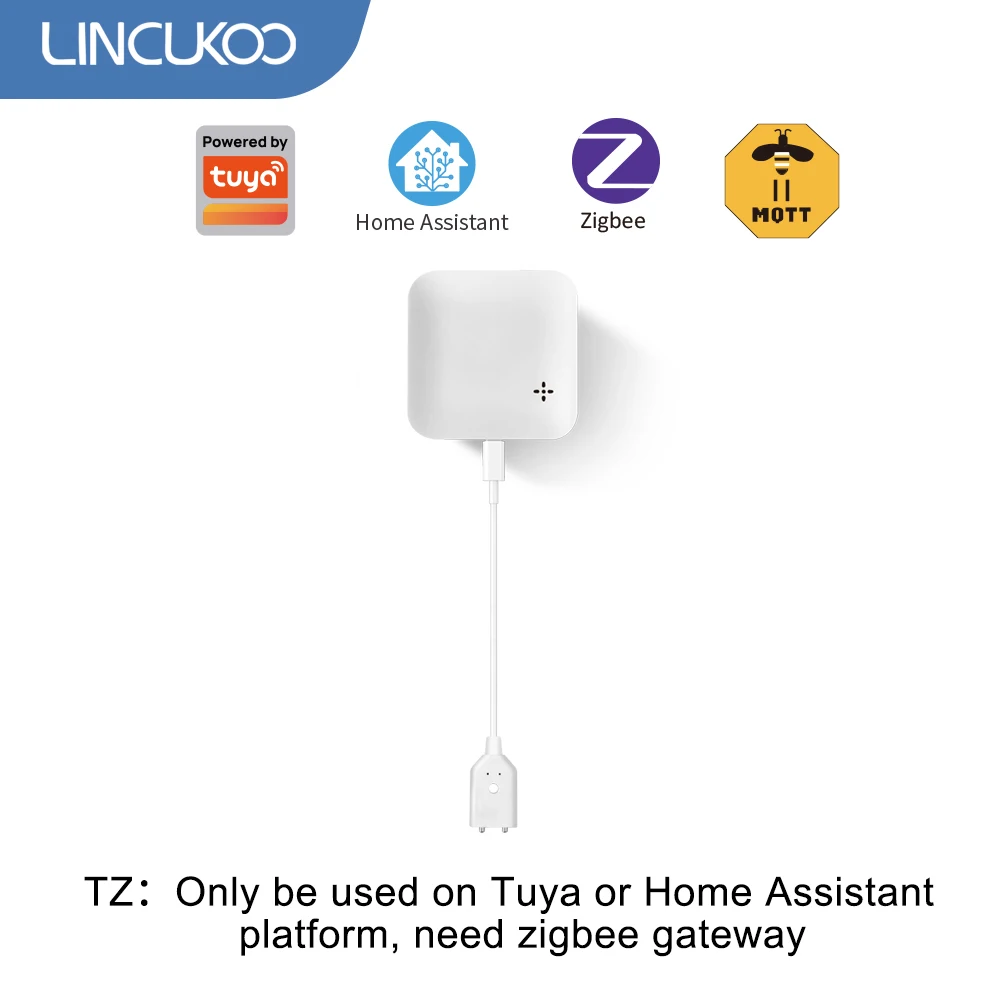 Variant: TZ