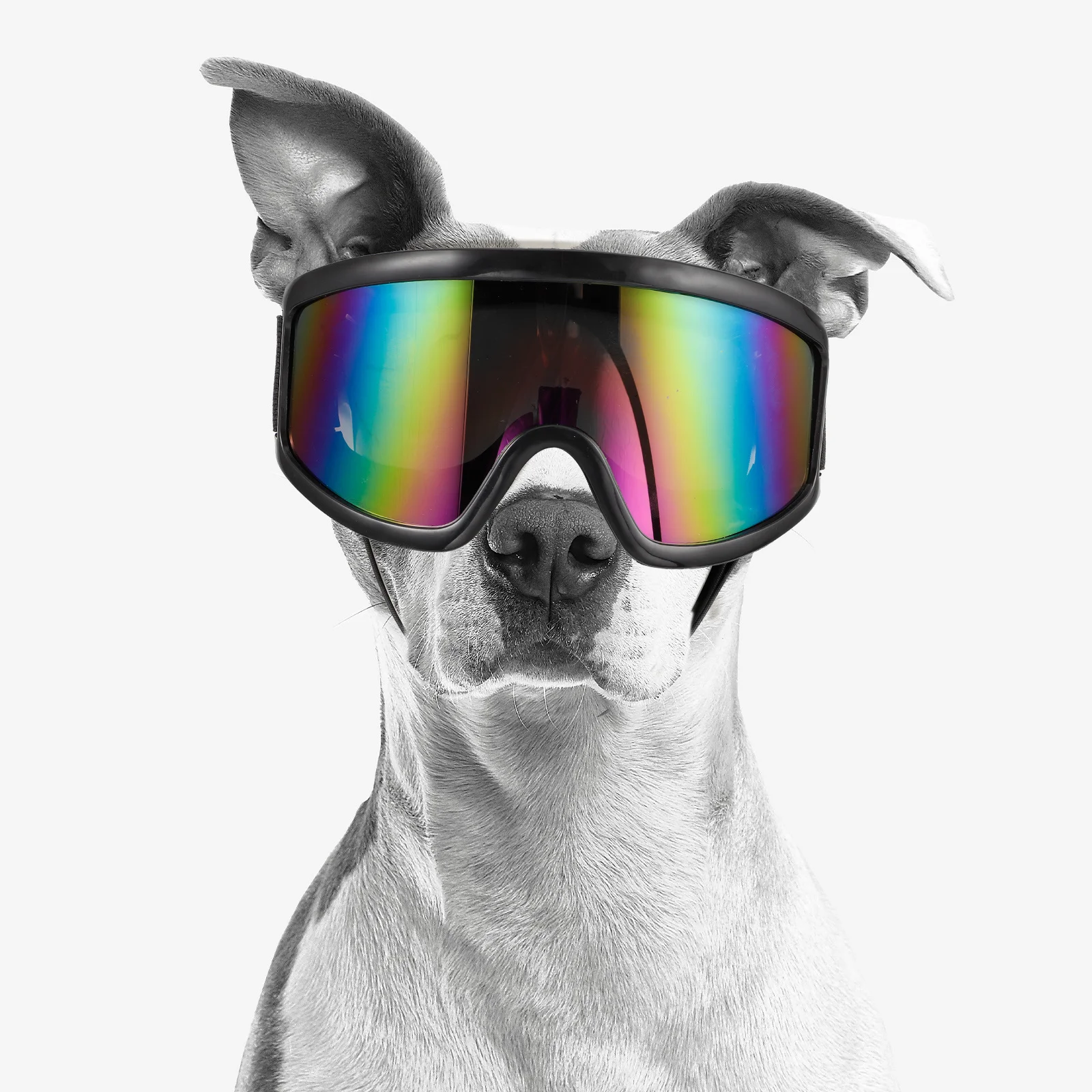 

Dog Sunglasses Uv Protection Windproof Goggle Dust Proof Adjustable Strap For Small Breeds Outdoor Pet Accessories