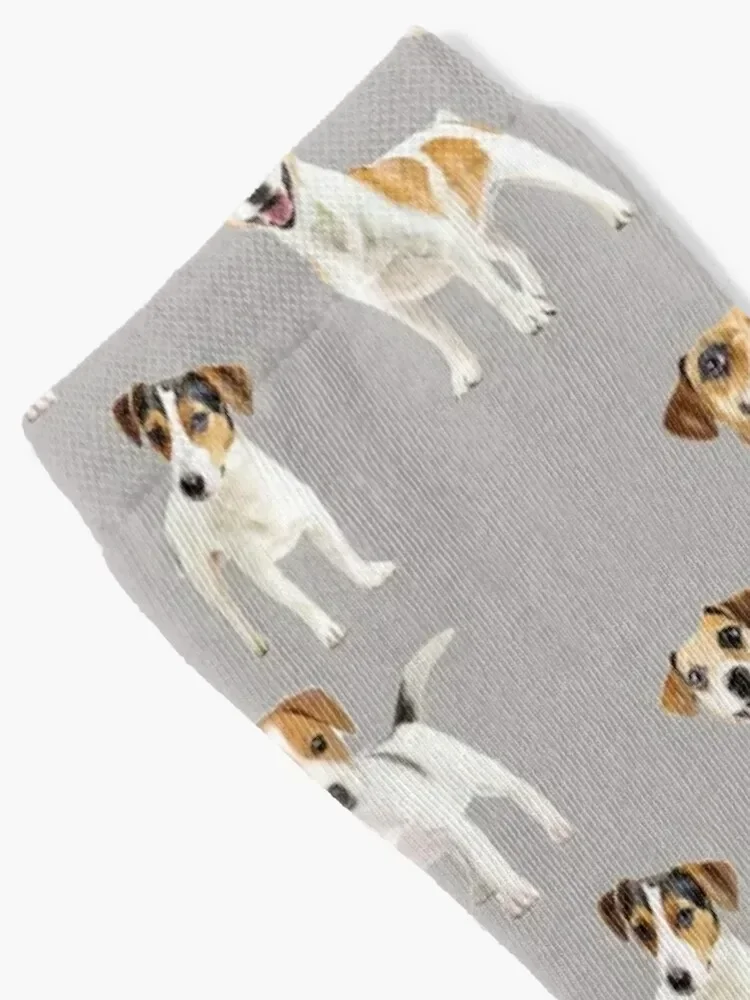 Jack Russell Terrier dogs Socks hockey Run cartoon Socks For Men Women's