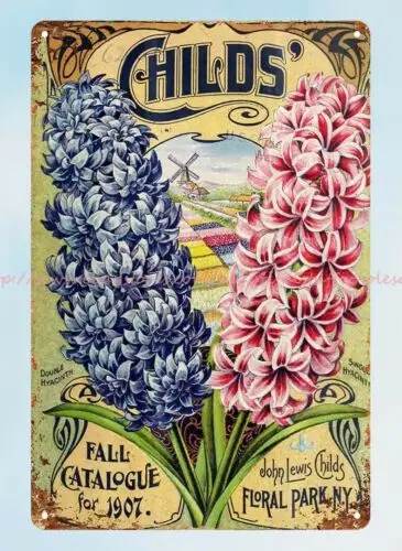 interior design Hyacinths flower catalog 1907 John Lewis Childs metal tin sign