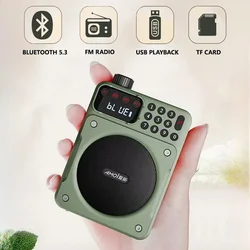 Mini Bluetooth Speaker Digital FM Radio HD Display 76-108mhz Radio Wireless Portable Voice Amplifier with TF Card USB Slot