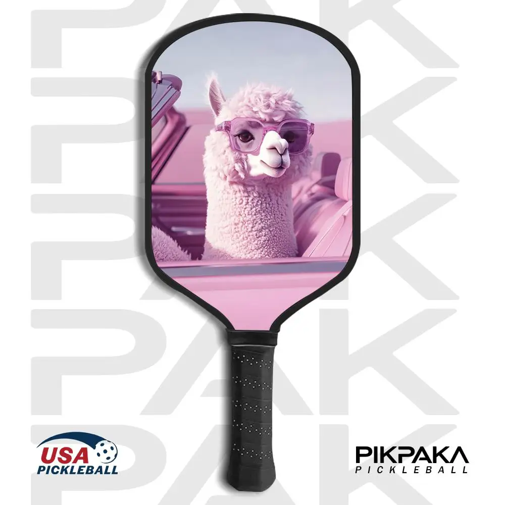 

Лопатка для пиклбола, одобренная USAPA T700, цельный корпус из углеродного волокна, термоформованная сотовым сердечником 16 мм, мощность и шпилька, забавные животные