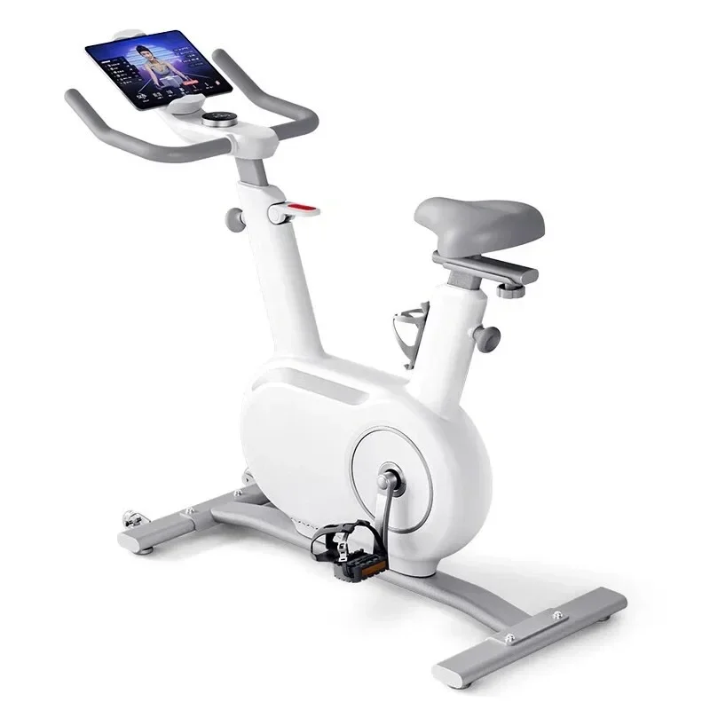 Mini smart home spinning bike, indoor magnetic control silent sports exercise bike