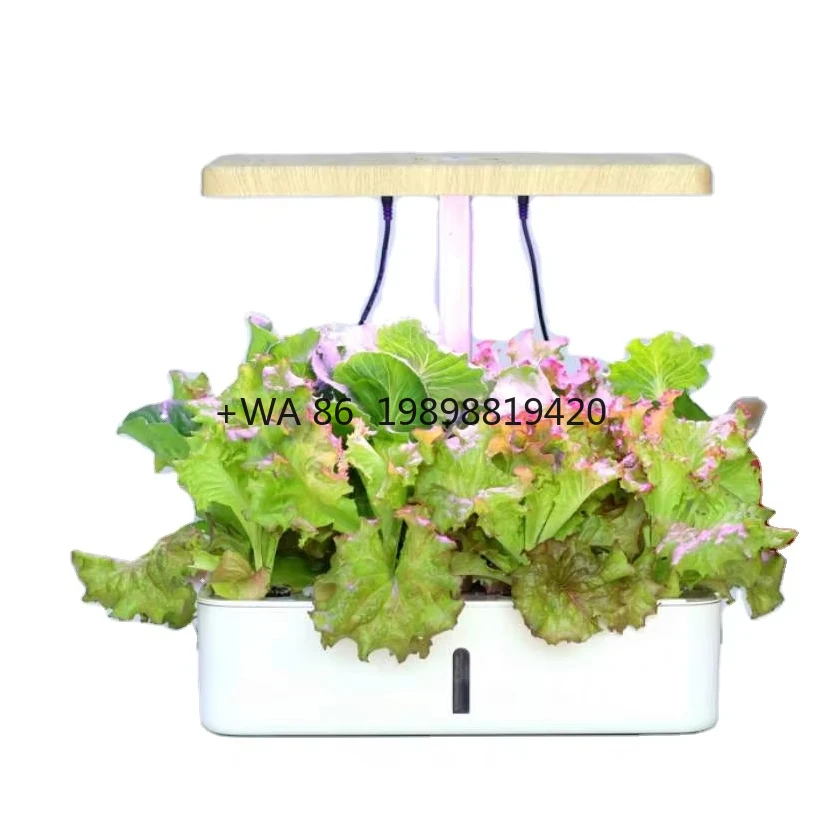 Top Quality Hydroponics Growing System With Led Grow , Smart Garden Planter for Home Kitchen, Automatic Timer Germination