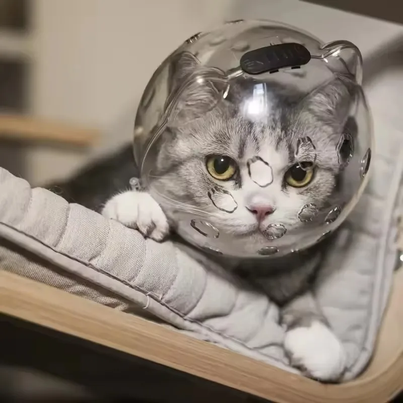 

1PCS Cat head protection ball, pet grooming accessories, breathable mask, swimming helmet, cat supplies