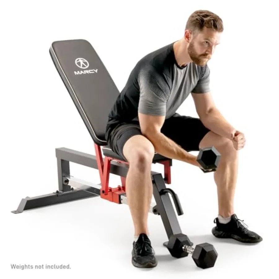 Foldable Standard Weight Benches for Home Gym Use Steel Frame Black Adjustable Backrest and Seat for Full Body Workout