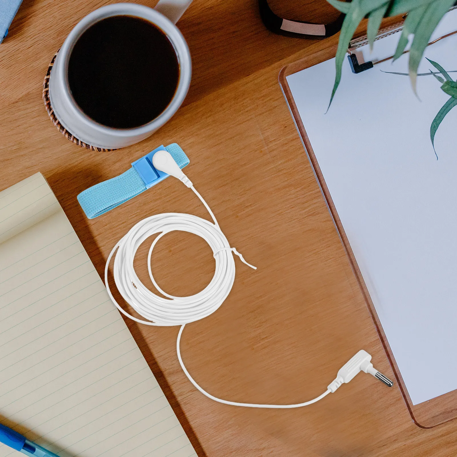 

Anti-static Grounding Wire Bracelet for Laboratory Personnel Antistatic Wristband Electronics