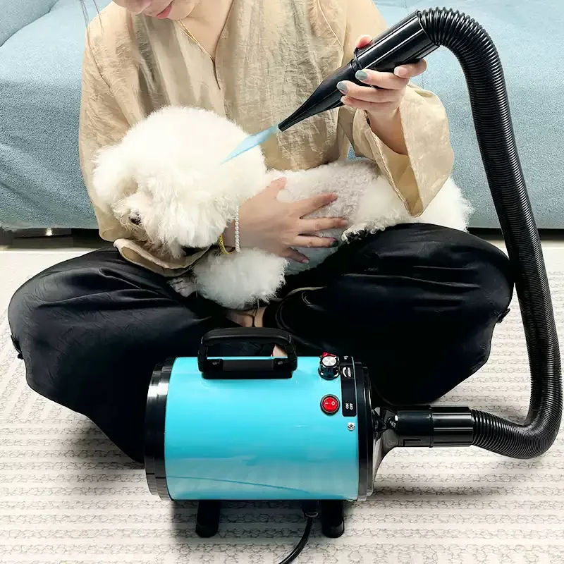 Fast Silent Drying Machine Stepless Speed Regulation 2800W Hair Dryer for Dogs Pet Grooming Blower Constant Temperature