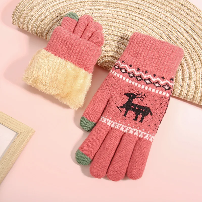 New Touch Screen Gloves Suitable for Winter Street Women's Stalls Plush Thick Cold Proof and Warm Finger Gloves