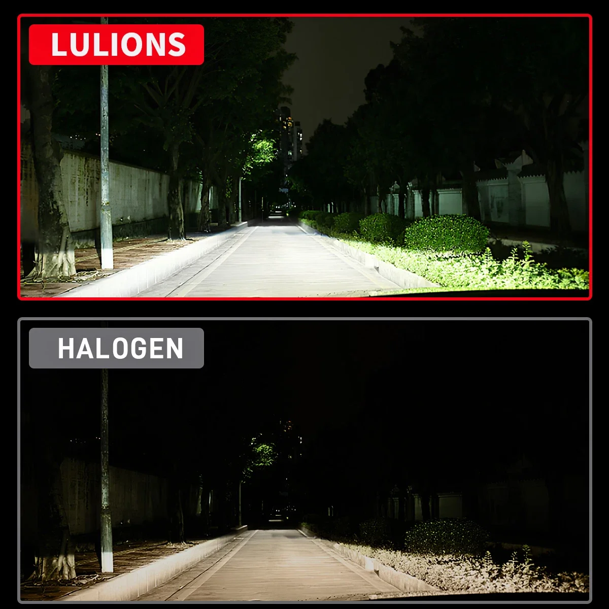 Lulions H7 Car LED Headlight Canbus No Error 50000LM Running Lights 9005 9006 6000K Auto LED Lamp Turbo Fog Light 12V