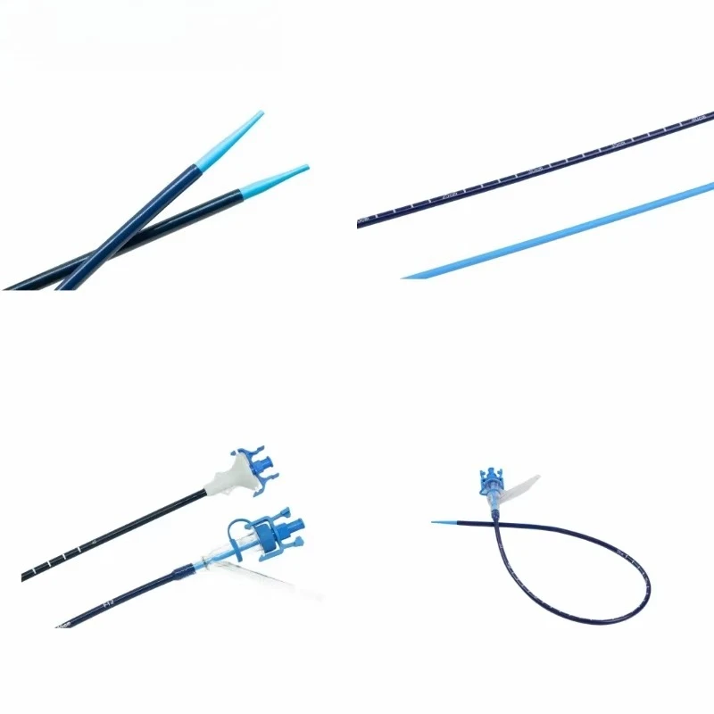 High Quality Disposable Ureteral Access Sheath with Negative Suction Hydrophilic Coating EOS Disinfecting Type