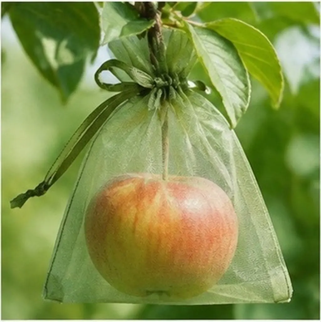 50Pcs Fruit Protection Bags Anti-Insect Mesh Pouches Durable Reusable for Organic Gardening Fruit Mesh Bags Netting Pouches