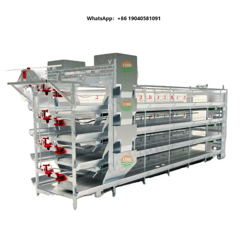 Source Manufacturer Sells H-type Automated Equipment for Poultry Breeding Cages Laying Hens and Chicken Cages