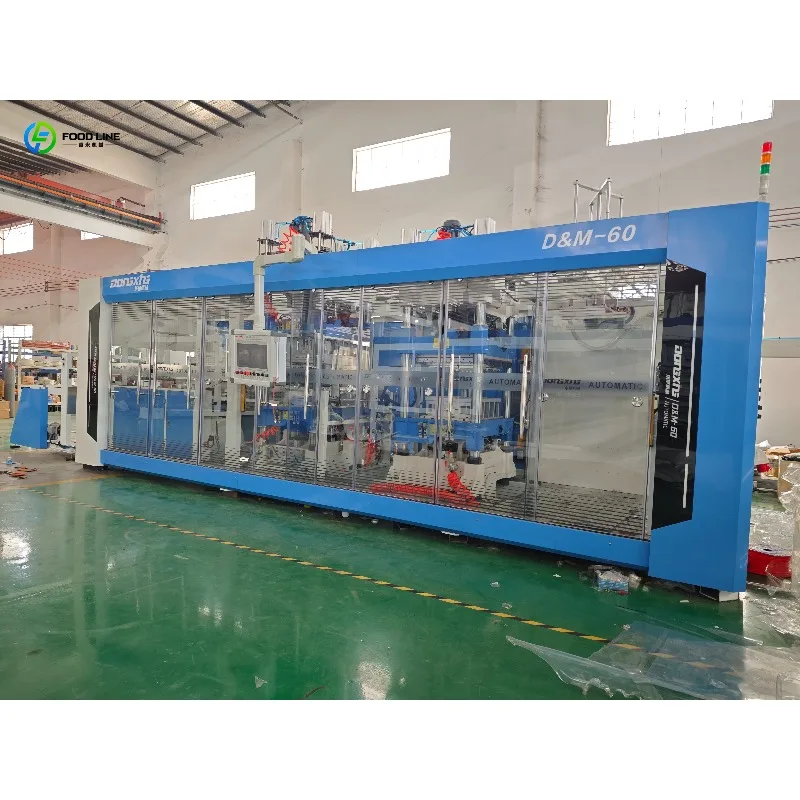 Full Automatic Thermoforming Cake Box and Egg Tray Machine Vacuum Pressure Forming High Speed Durable Customized For Factory
