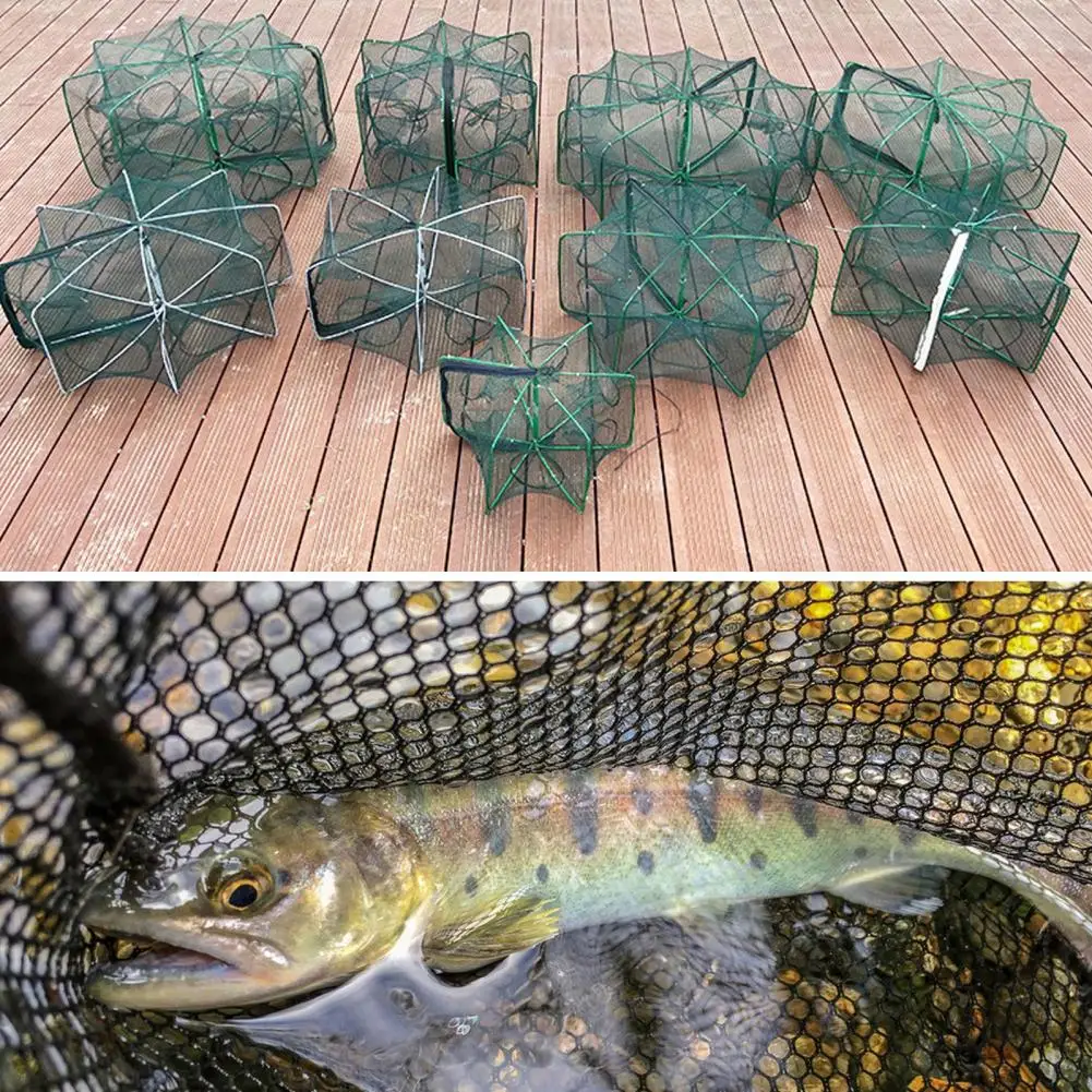 Foldable Shrimp Net Portable Fish Trap Portable Collapsible Fishing Bait Trap with Fine Mesh Heavy Duty 6/8 Holes for Cast