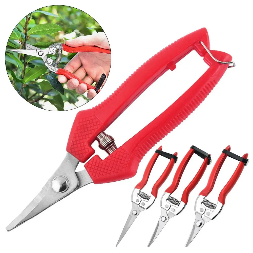 1Pcs Florist Scissor Tool Tree Pruning Shear Gardening Hand Pruner Garden Scissors Straight Leaf Trimmer Micro-Tip Pruning Snips