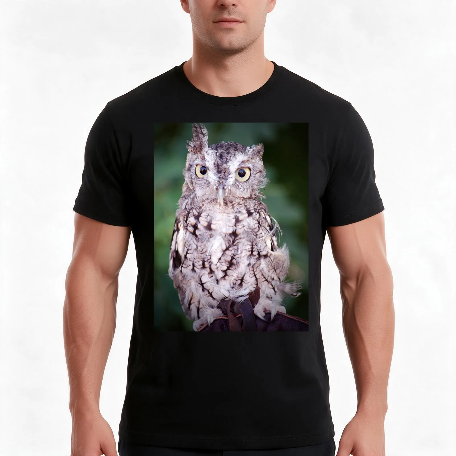 Eastern Screech Owl T-Shirt, Summer Casual Cotton Tee, Oversized Streetwear Tops, Vintage Graphic Print, Loose Fit Short Sleeve