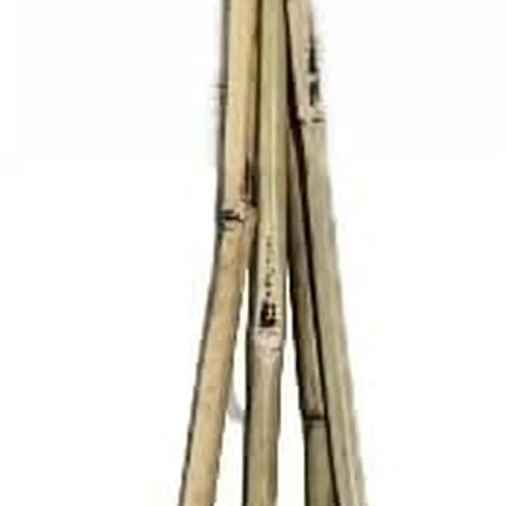 150-Count 7-Foot Ba… - image