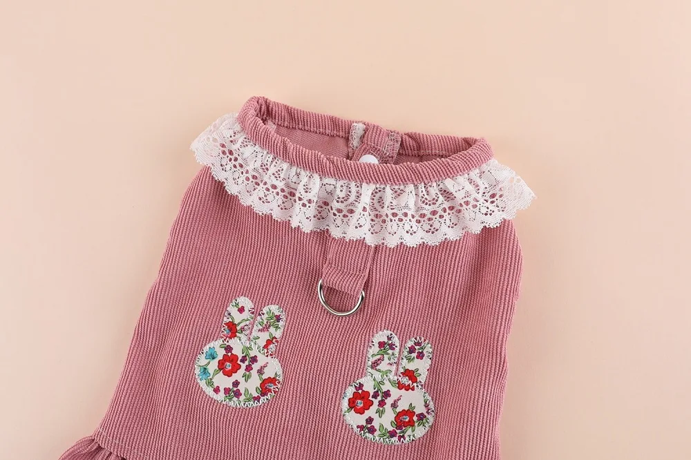 Prinzessinnen-Stil Kleidung für kleine Hunde und Katzen, Teddybär, Pomeranian Spezielles Niedliches Brust- und Rückenkleid – Detail 5