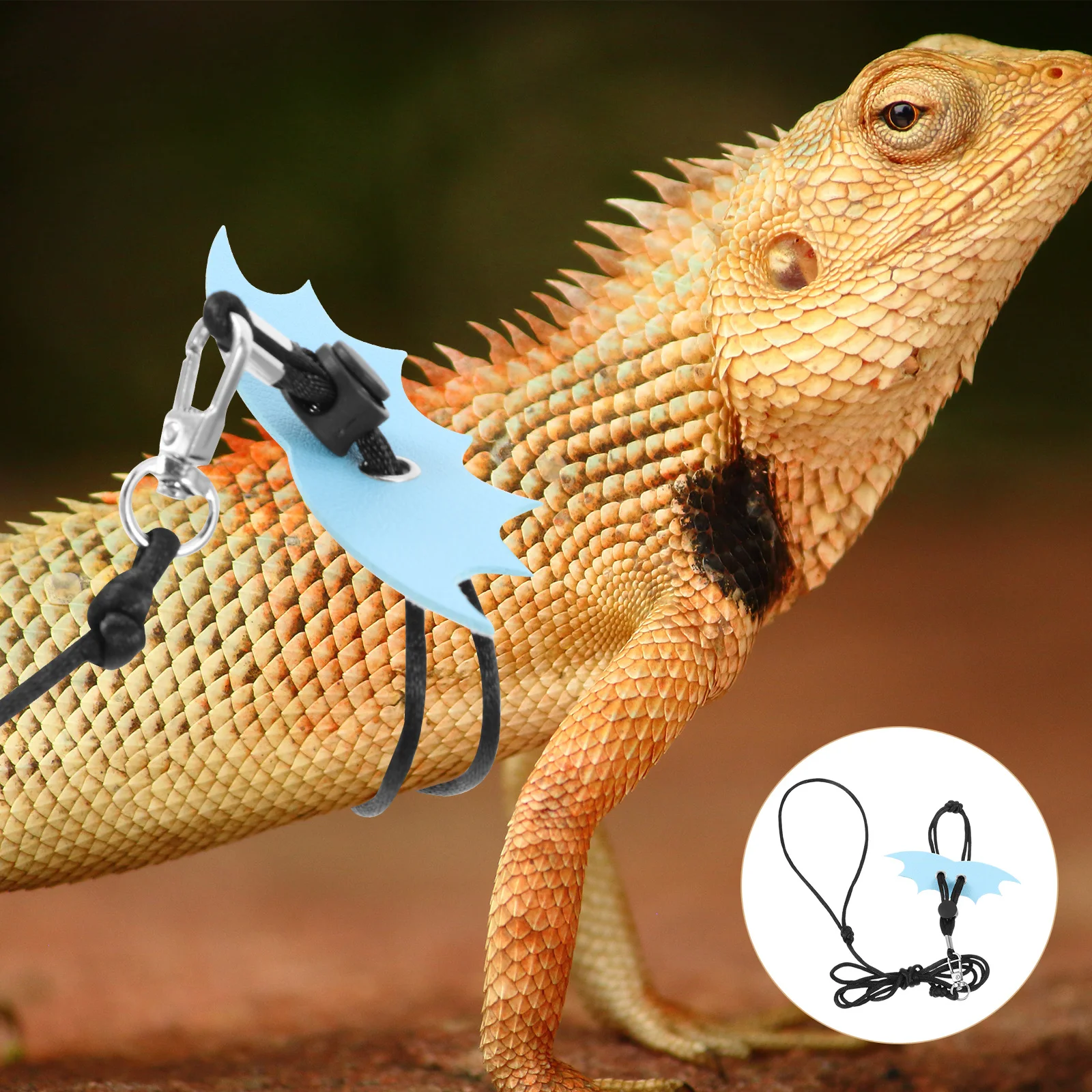 

1Set Adjustable Lizard Leash and Harness Wear-Resistant Gecko Leash Small Reptile Accessories Outdoor Pet Supply
