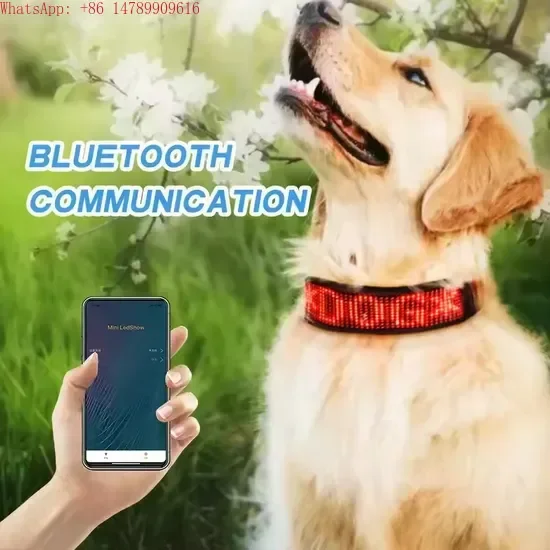 

Popular Adjustable Programmable Display High-Visibility APP LED Collar