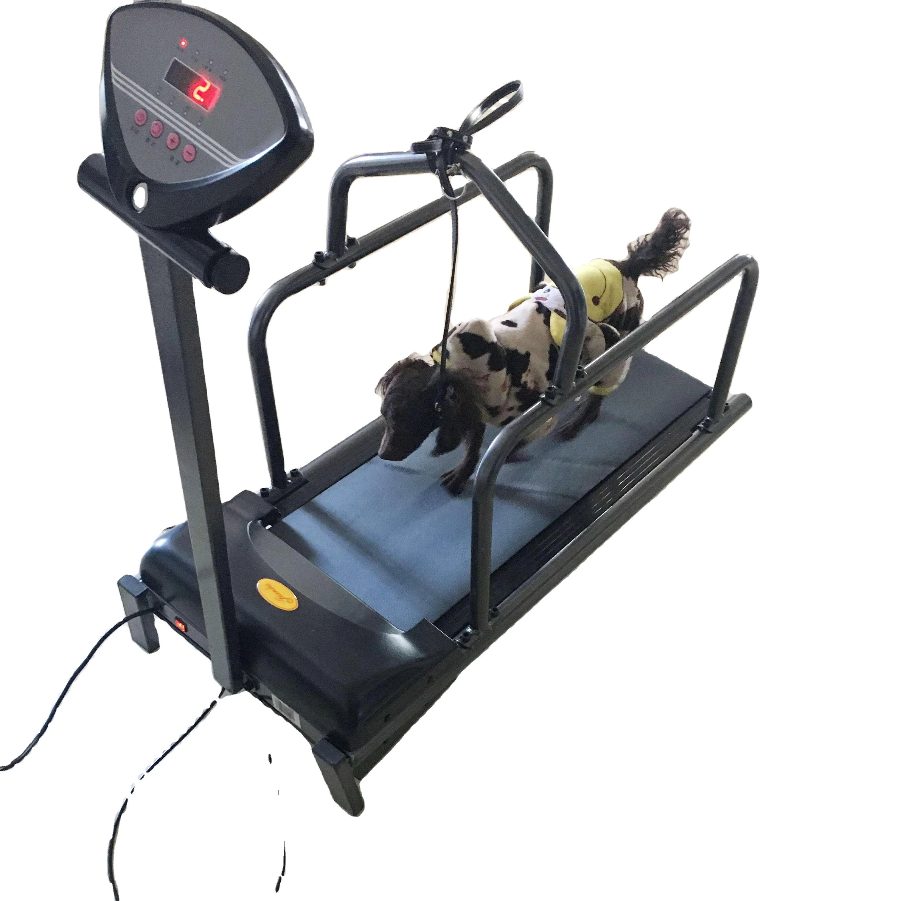 Pet Treadmill Puppy Treadmill, Pet Treadmill