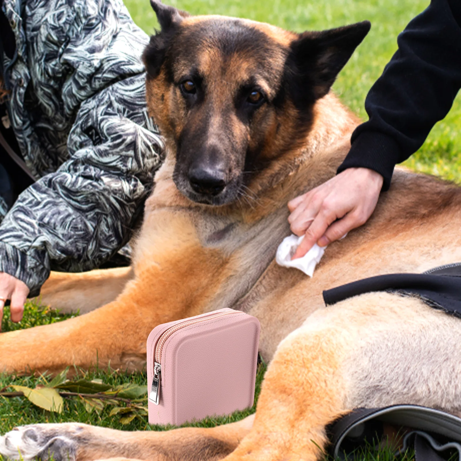 Pet Walking Bag Lightweight Dog Treat for Training Packet Portable Silica Gel Pouches Wear-resistant