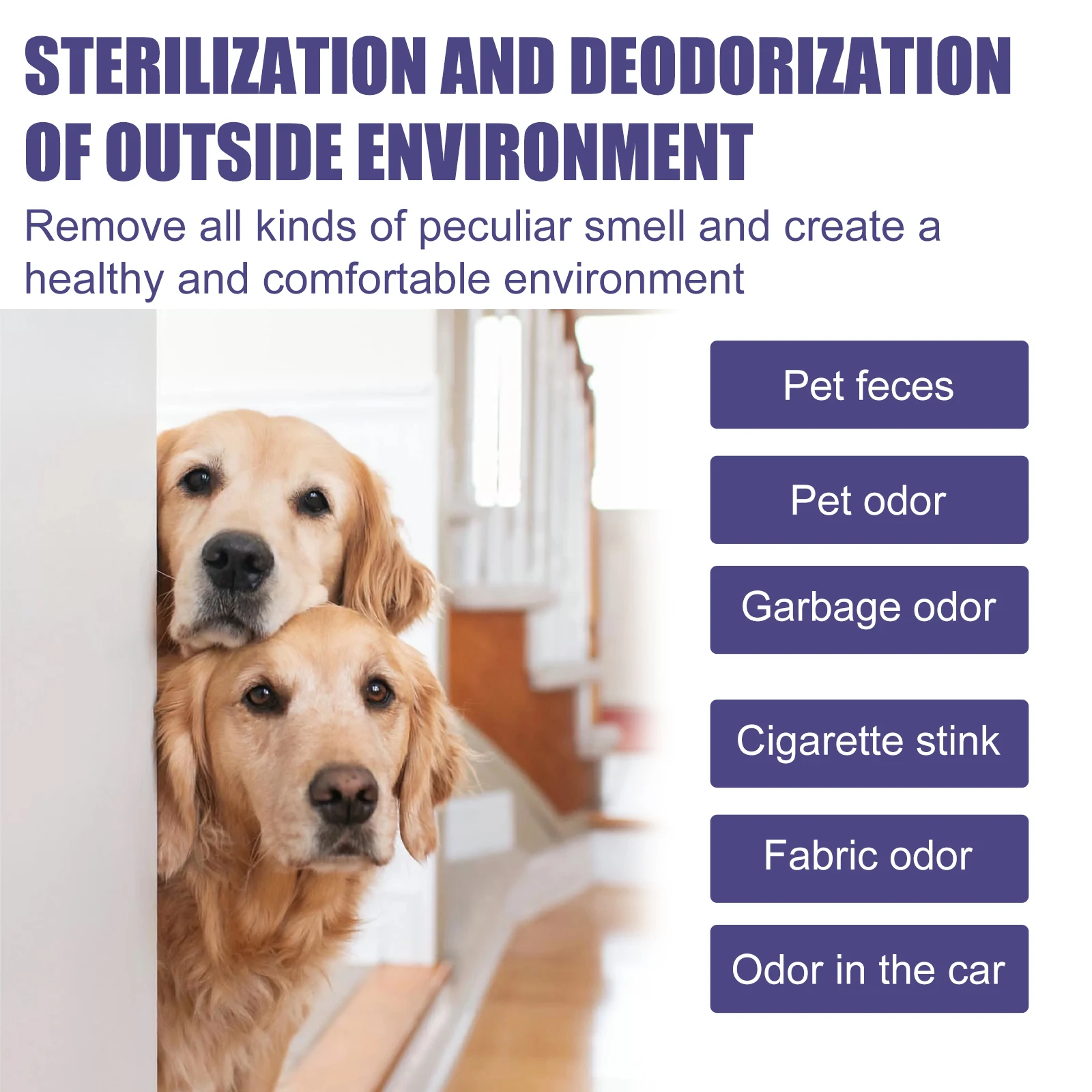Pet Deodorant Spray Bacteria I - Scent Eliminator Spray review and price