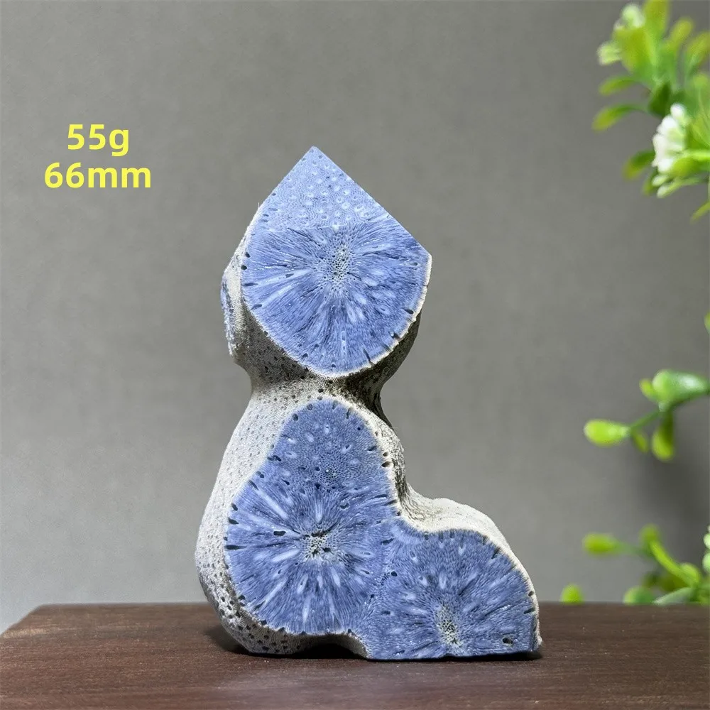 Natural And Beautiful Blue Coral Mineral Specimen Energy Wealth Crystal Home Fashion Decoration Unique And Precious Gift